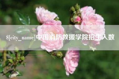 岳阳中国消防救援学院招生人数
