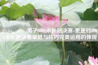 岳阳男子5000米长跑决赛-更是对5000米长跑决赛策略与技巧完美运用的体现