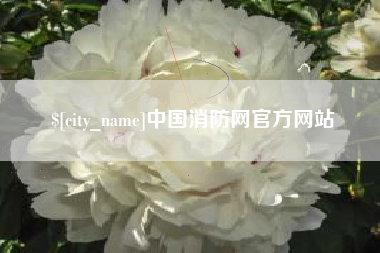 岳阳中国消防网官方网站