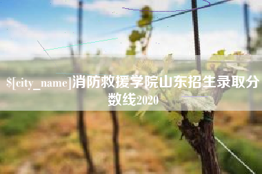 岳阳消防救援学院山东招生录取分数线2020