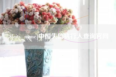岳阳中国失信执行人查询官网