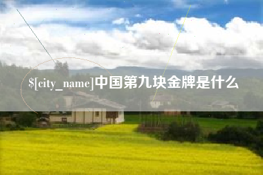 岳阳中国第九块金牌是什么