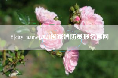 岳阳2021国家消防员报名官网