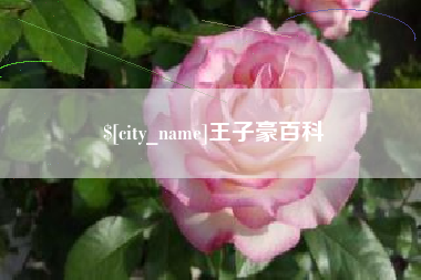 岳阳王子豪百科