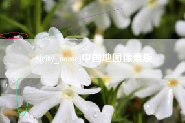 岳阳中国地图像素版