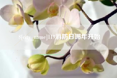 岳阳119消防日哪年开始