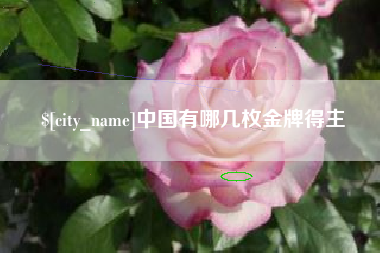 岳阳中国有哪几枚金牌得主