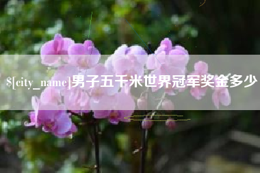 岳阳男子五千米世界冠军奖金多少