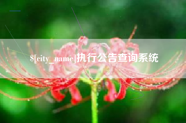 岳阳执行公告查询系统