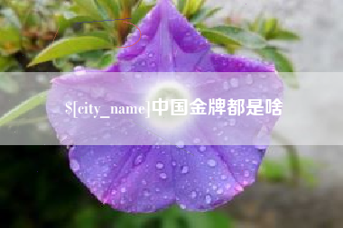岳阳中国金牌都是啥