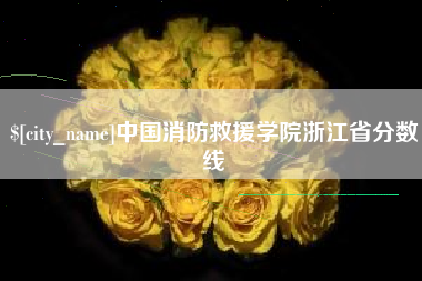 岳阳中国消防救援学院浙江省分数线