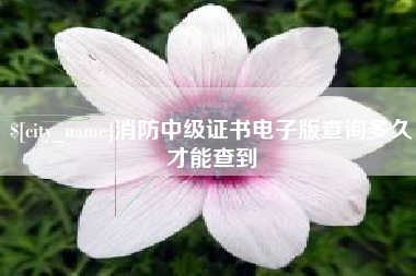 岳阳消防中级证书电子版查询多久才能查到