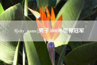 岳阳男子5000米世界冠军