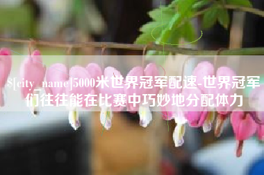 岳阳5000米世界冠军配速-世界冠军们往往能在比赛中巧妙地分配体力