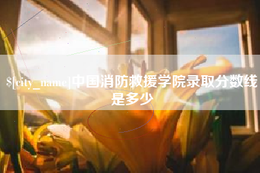 岳阳中国消防救援学院录取分数线是多少