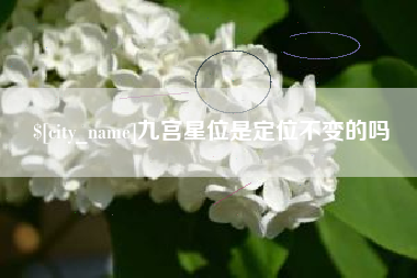 岳阳九宫星位是定位不变的吗