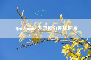 岳阳九宫图分割线图片