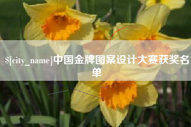 岳阳中国金牌图案设计大赛获奖名单