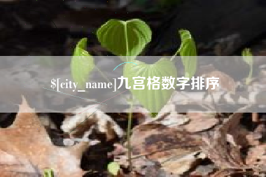 岳阳九宫格数字排序