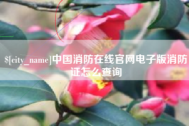 岳阳中国消防在线官网电子版消防证怎么查询