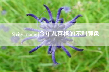 岳阳今年九宫格的不利颜色