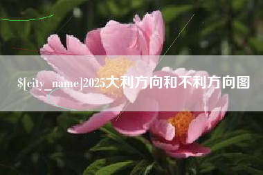 岳阳2025大利方向和不利方向图