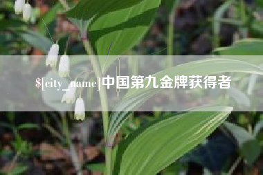 岳阳中国第九金牌获得者