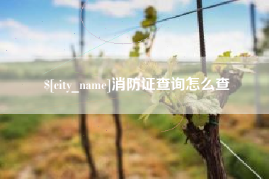 岳阳消防证查询怎么查