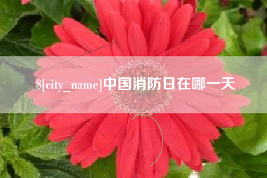 岳阳中国消防日在哪一天