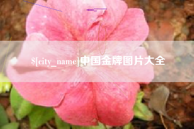 岳阳中国金牌图片大全