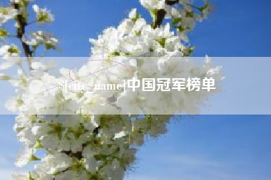 岳阳中国冠军榜单