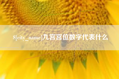 岳阳九宫宫位数字代表什么