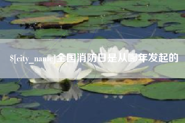 岳阳全国消防日是从哪年发起的