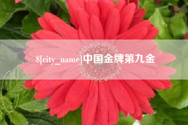 岳阳中国金牌第九金