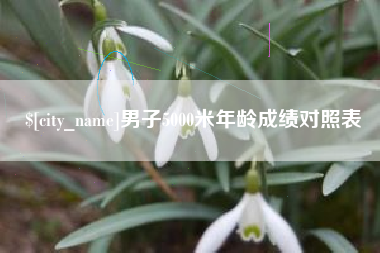 岳阳男子5000米年龄成绩对照表