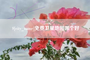 岳阳免费卫星地图哪个好