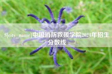 岳阳中国消防救援学院2024年招生分数线