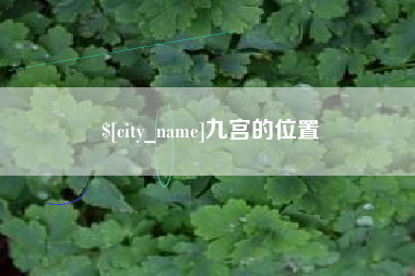 岳阳九宫的位置