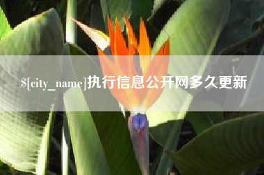岳阳执行信息公开网多久更新