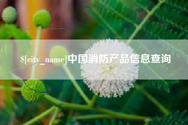 岳阳中国消防产品信息查询