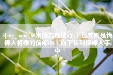 岳阳60米接力赛技巧-下压式则是传棒人将棒的前部由上向下传到接棒人手中
