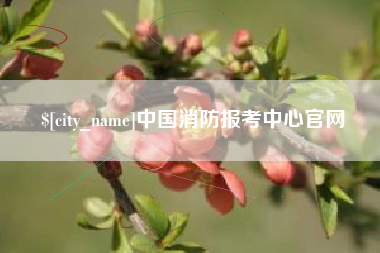 岳阳中国消防报考中心官网