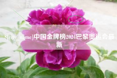 岳阳中国金牌榜2024巴黎奥运会最新