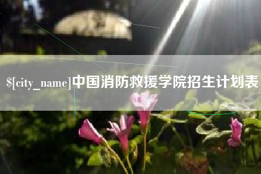 岳阳中国消防救援学院招生计划表