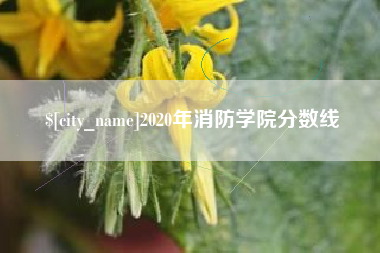 岳阳2020年消防学院分数线