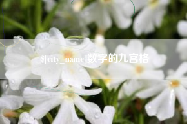 岳阳数字的九宫格