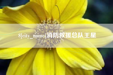 岳阳消防救援总队王星