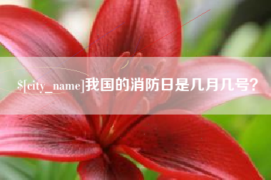 岳阳我国的消防日是几月几号？