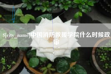 岳阳中国消防救援学院什么时候政审