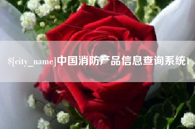 岳阳中国消防产品信息查询系统1